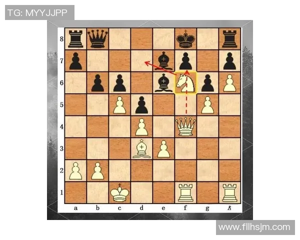 重庆羽毛球队速度对比深度解析与战术优势探讨